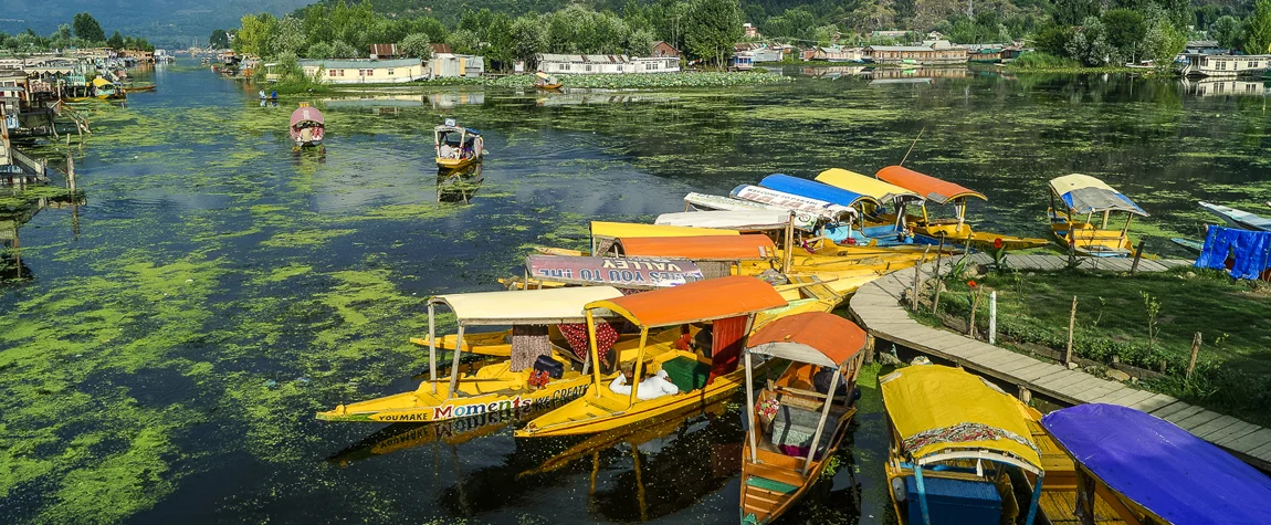 Kashmir Landscape