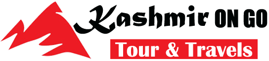 Kashmir NGO Logo