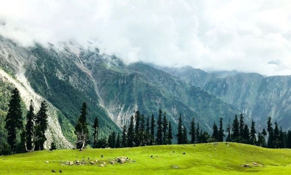 Tangnar Meadow