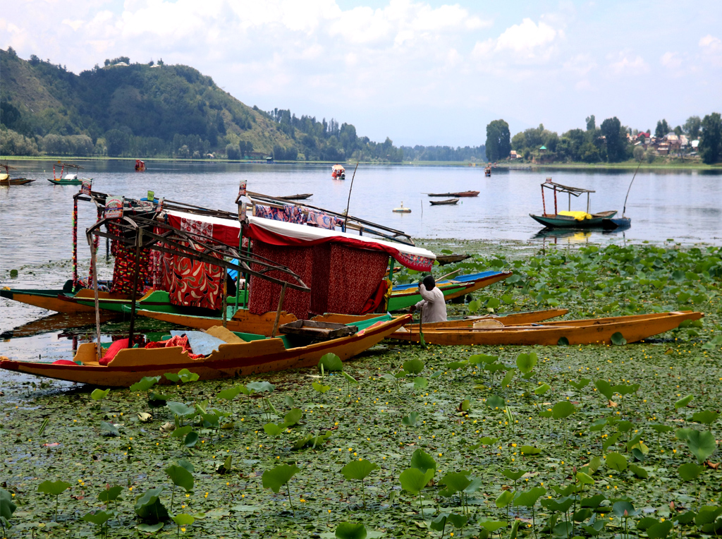 Mansbal Lake Shikara Ride