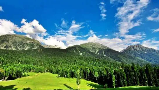 Baisaran Meadows