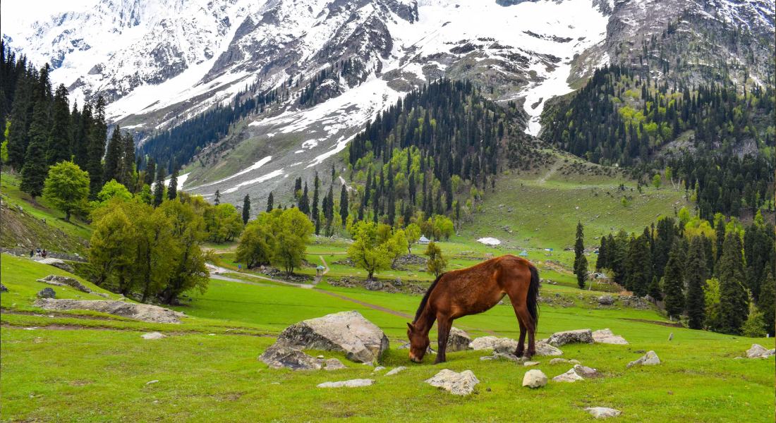 Sonamarg Valley