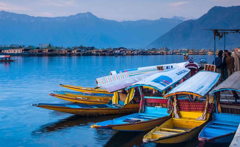 Shikaras on Dal Lake