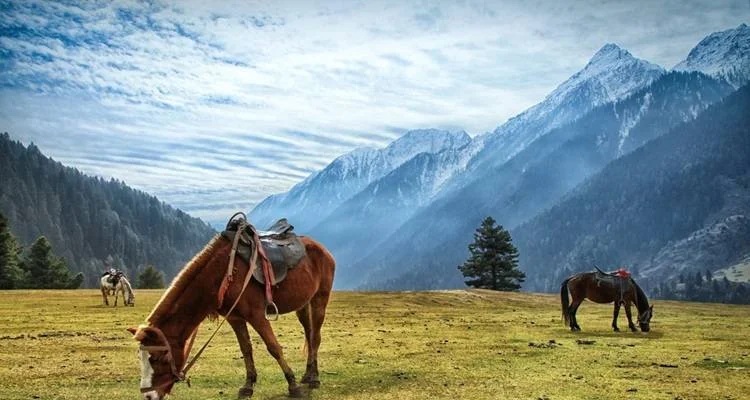 Kashmir Grand Tour